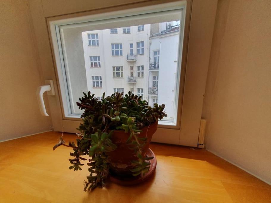 Loft Maiselova Apartment Prag